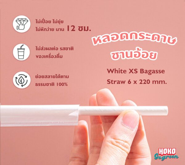 หลอดกระดาษ หลอดชานอ้อย หลอดรักโลกษ์ หลอดชานม ไข่มุก หลอดไม่เปื่อย ไม่ยุ่ย